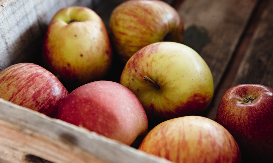 Apfelzeit - gesund Abnehmen durch Abnehmen mit Genuss